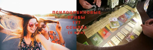 трава Беломорск