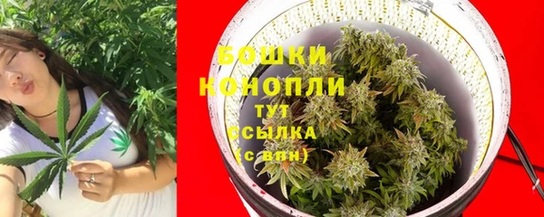 трава Беломорск